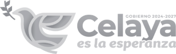 Gobierno de Celaya